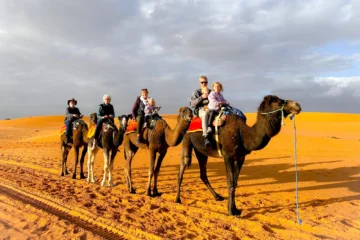 gallery of art desert tours company