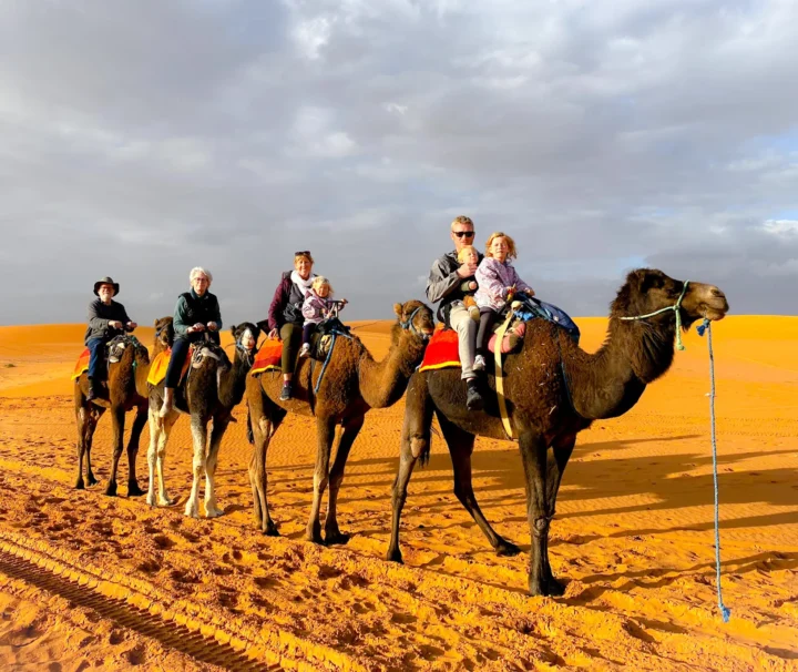 gallery of art desert tours company