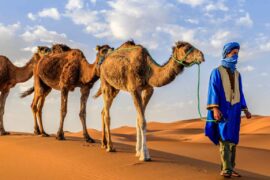 excursión a camello en merzouga