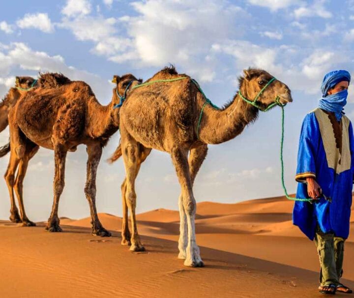 excursión a camello en merzouga