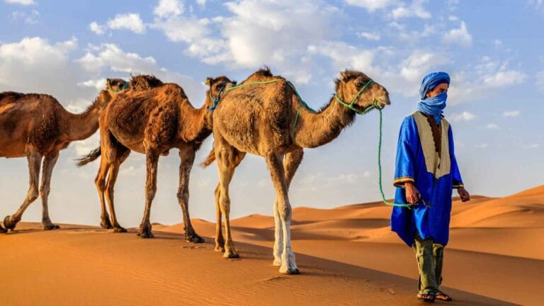 desert | Art Desert Tours camel trekking in merzouga