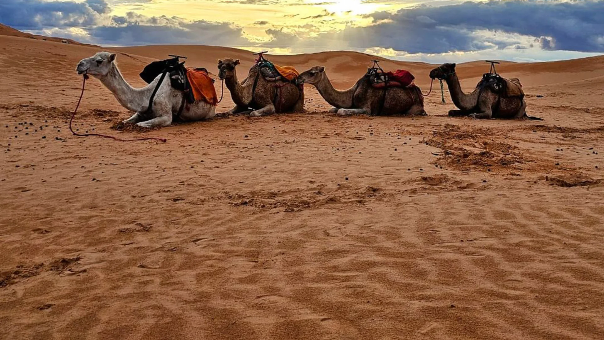 excursión de 4 días de fes a merzouga