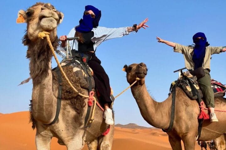 gallery of art desert tours company