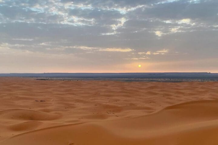 gallery of art desert tours company