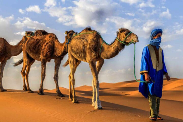 gallery of art desert tours company