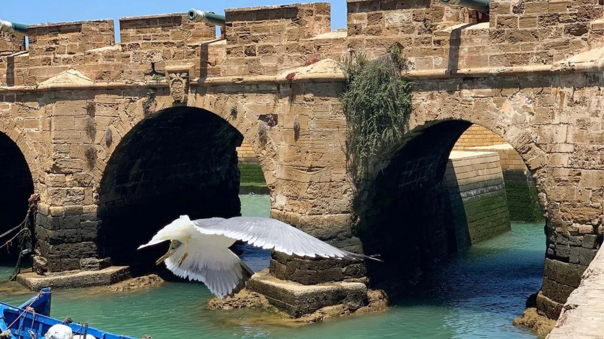 Excursion d'une journée de Marrakech à Essaouira