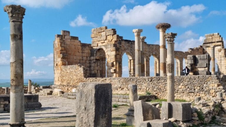 Moulay Idriss and Volubilis day trip from Fes