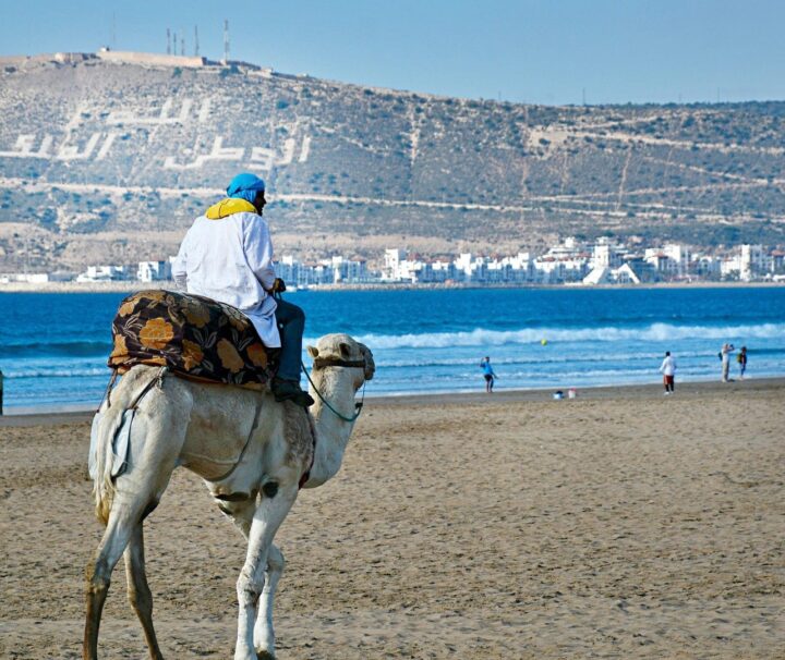 7 Days Through the Desert from Agadir to Casablanca