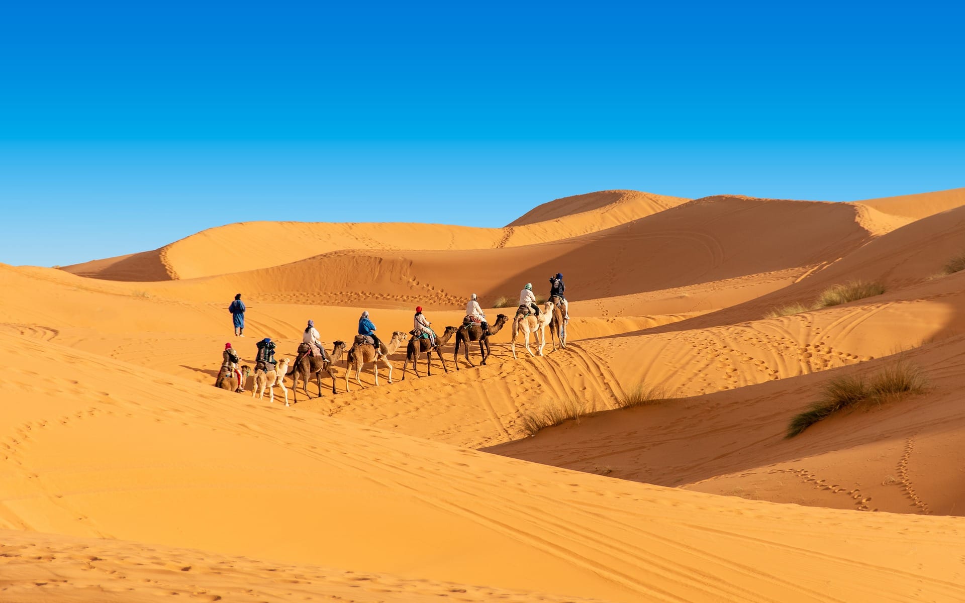 Art Desert Tours | Art Desert Tours Art Desert Tours