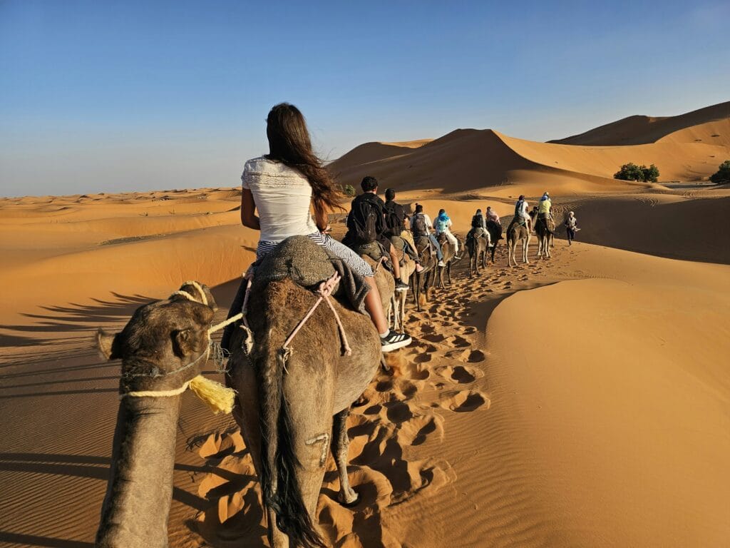 Camel trek in Erg Chebbi dunes on Morocco group tour