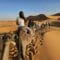 Camel trek in Erg Chebbi dunes on Morocco group tour