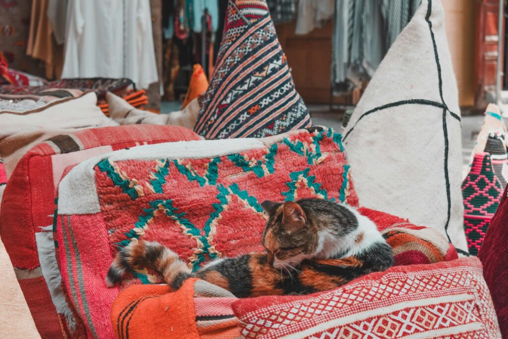 Moroccan Jewish Tour